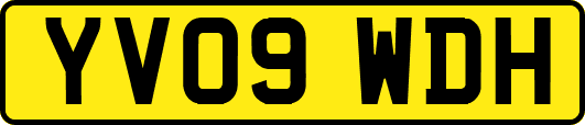 YV09WDH