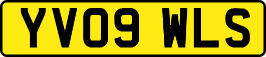 YV09WLS