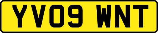 YV09WNT