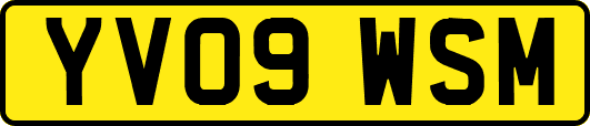YV09WSM