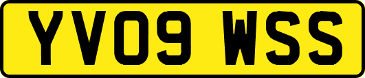 YV09WSS