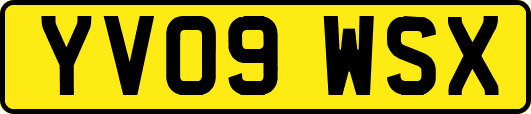 YV09WSX