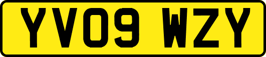 YV09WZY