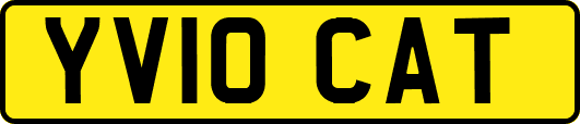YV10CAT