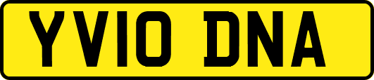 YV10DNA