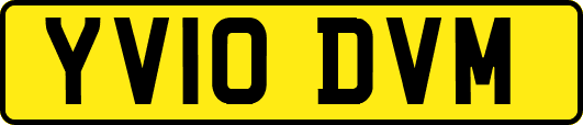 YV10DVM