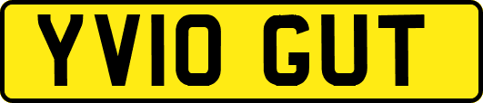 YV10GUT