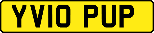 YV10PUP