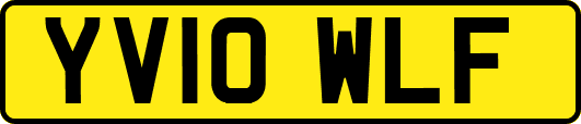 YV10WLF