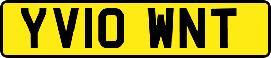 YV10WNT