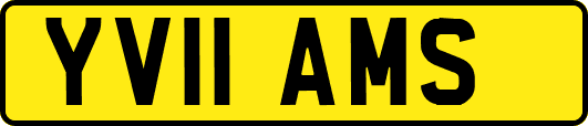YV11AMS