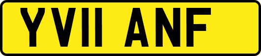 YV11ANF