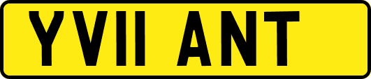 YV11ANT
