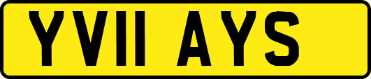 YV11AYS