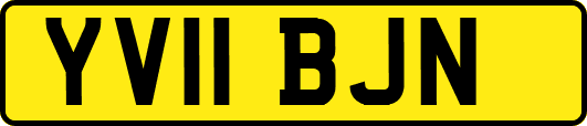 YV11BJN