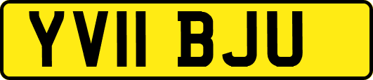 YV11BJU
