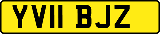 YV11BJZ