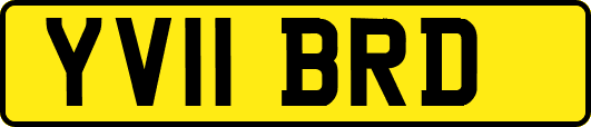 YV11BRD