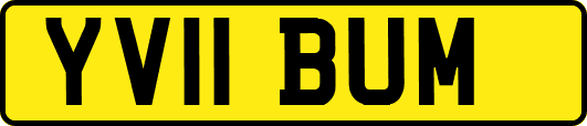 YV11BUM