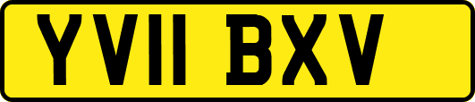 YV11BXV