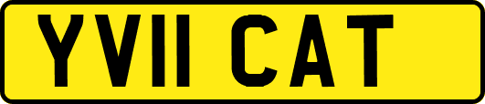 YV11CAT
