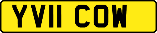 YV11COW