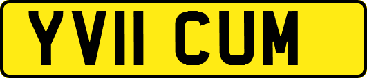 YV11CUM