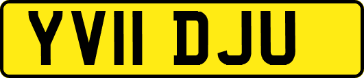 YV11DJU