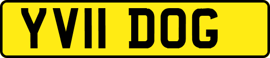 YV11DOG