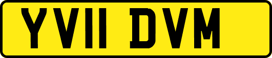 YV11DVM