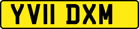 YV11DXM