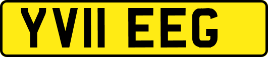 YV11EEG