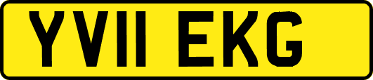 YV11EKG