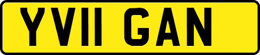 YV11GAN