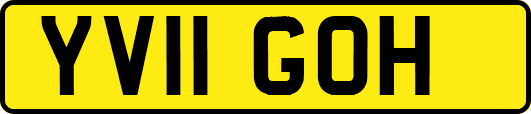 YV11GOH