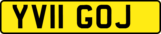YV11GOJ
