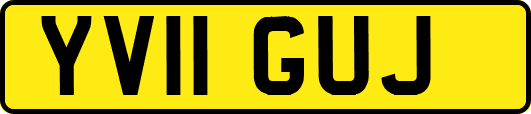 YV11GUJ