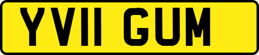 YV11GUM