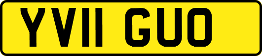 YV11GUO
