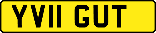 YV11GUT