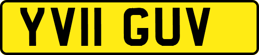 YV11GUV