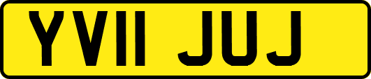 YV11JUJ