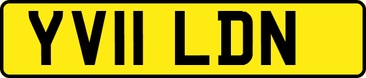 YV11LDN