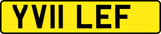 YV11LEF