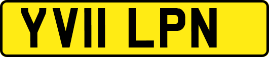 YV11LPN