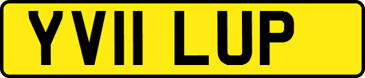 YV11LUP