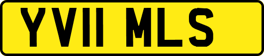 YV11MLS