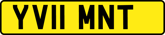 YV11MNT