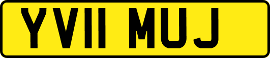 YV11MUJ