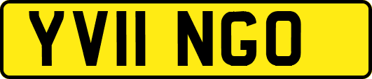 YV11NGO